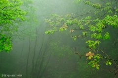 煙雨霏霏不肯收，氤氳掃盡復(fù)登樓