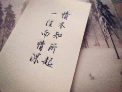 關(guān)于一往情深的思念句子