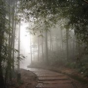 關于秋雨的唯美句子