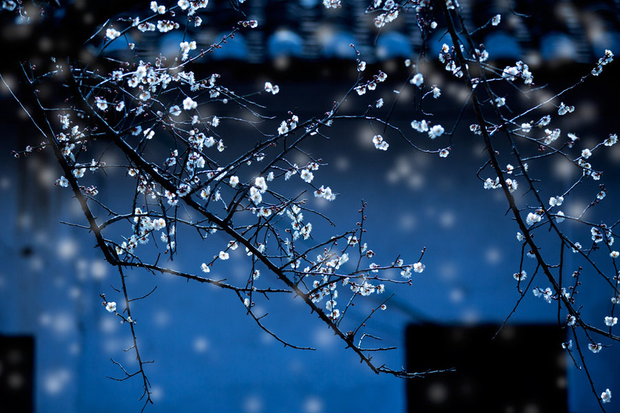 關(guān)于老下一句下雨心煩的句子