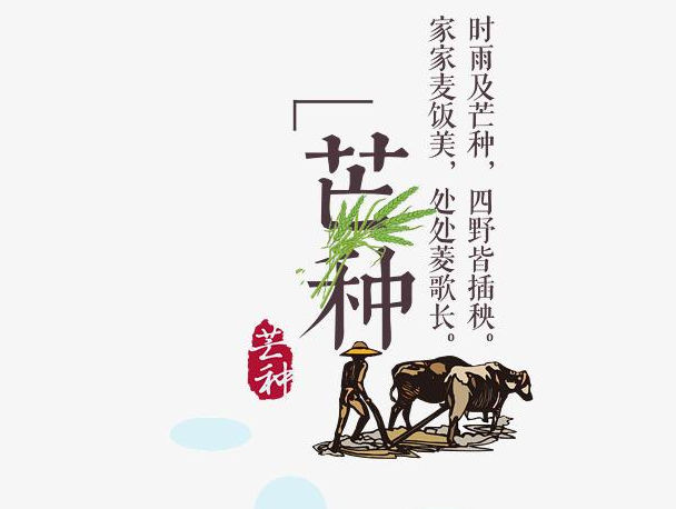 芒種節(jié)氣經(jīng)典祝福語說說大全  芒種節(jié)氣朋友圈祝福語