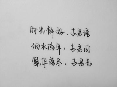 對于愛情不后悔的句子