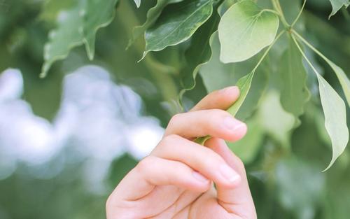 珍惜親情的句子英文