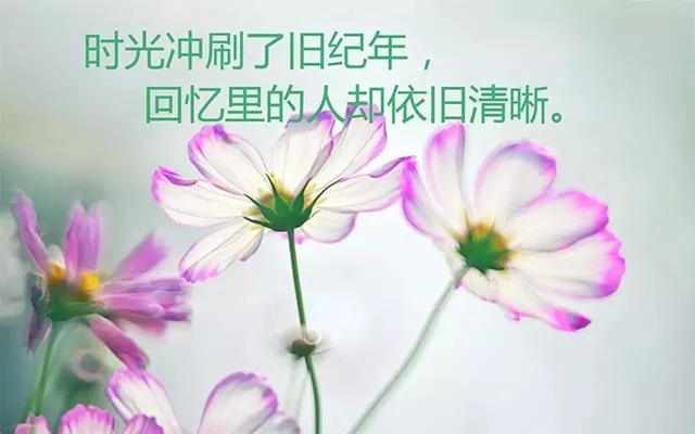 努力學(xué)習積極向上的座佑銘