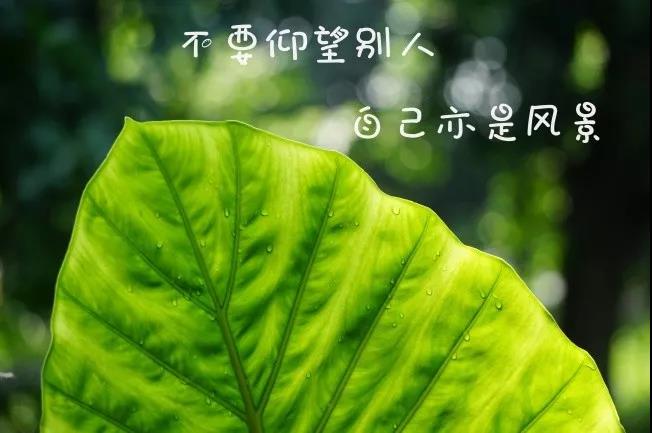 勵(lì)志的簡(jiǎn)短句子