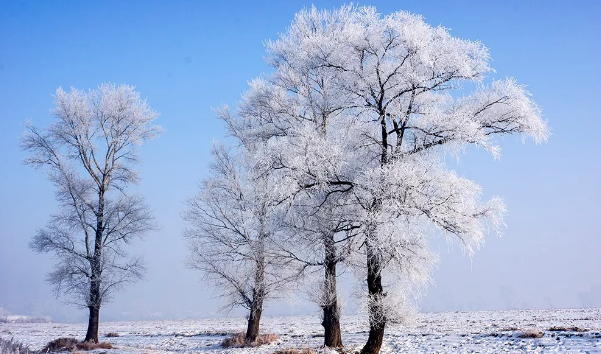  形容雪景的唯美短句子