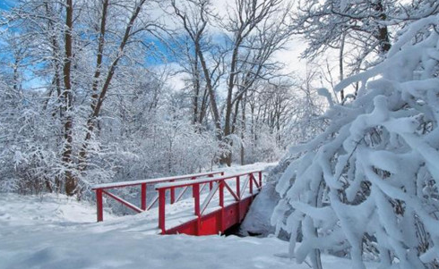 下雪天一起到白頭句子