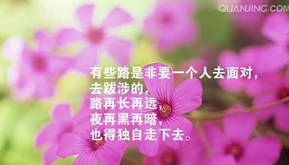 人生感悟的句子簡(jiǎn)短的 句句精辟現(xiàn)實(shí)