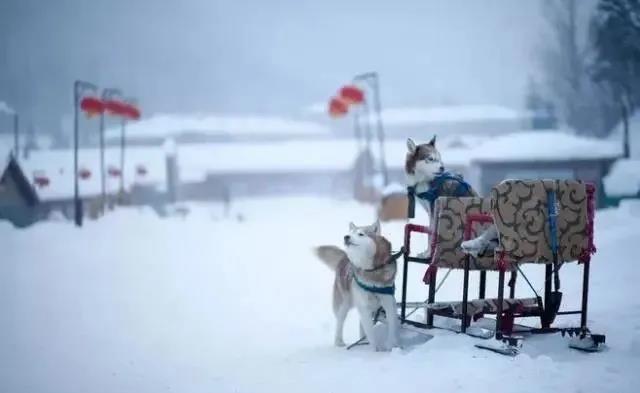 下雪的有意境的短句子