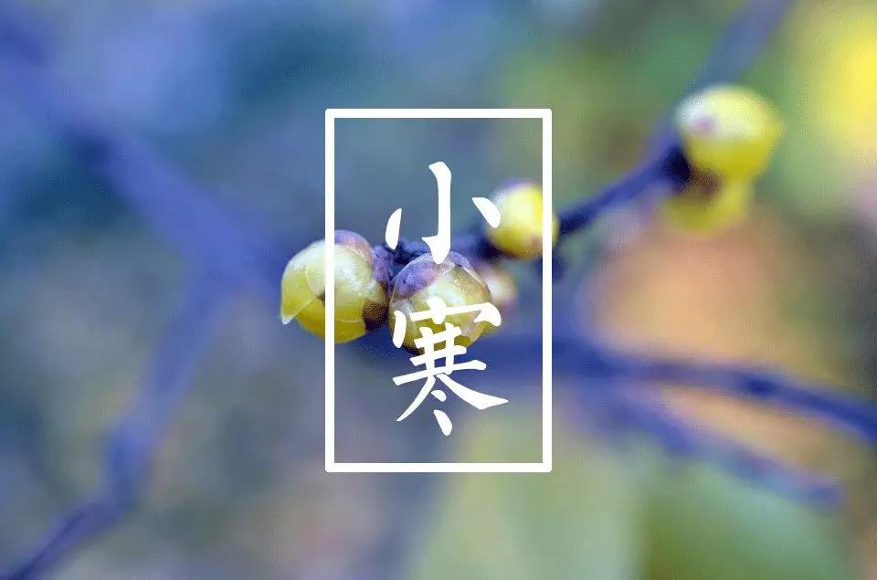 小寒節(jié)氣短信祝福