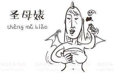 白蓮花圣母婊語(yǔ)錄 圣母婊同情語(yǔ)錄