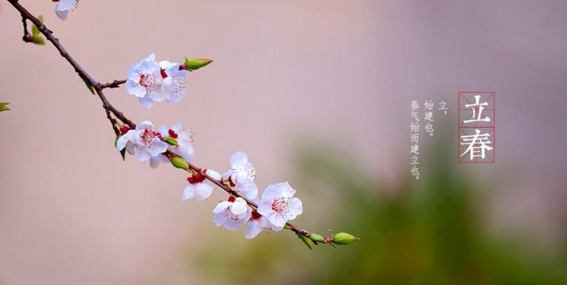 立春的詩(shī)詞