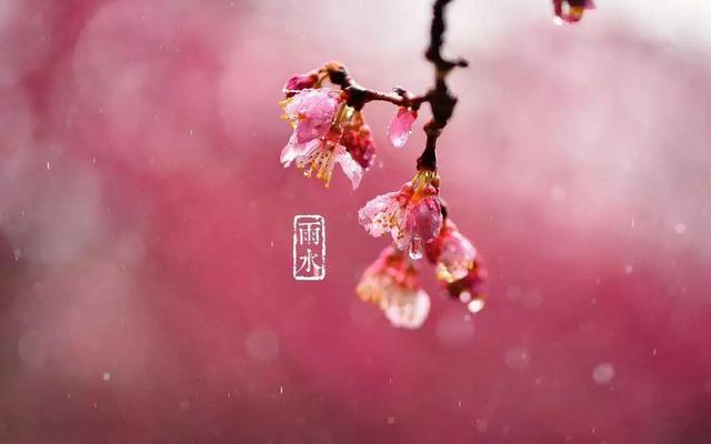 雨水的經(jīng)典祝福語