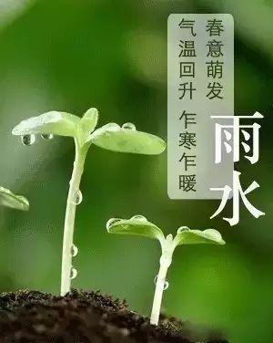 二十四節(jié)氣雨水的詩句