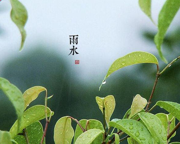 雨水節(jié)氣祝福語圖片唯美