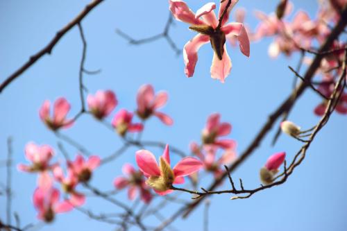 短信刷存在感問候語