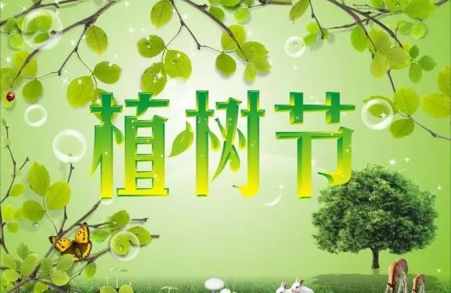 植樹節(jié)的宣傳標(biāo)語(yǔ)20字