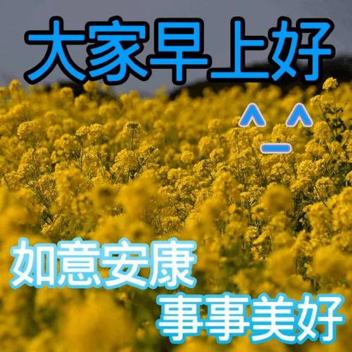 早上情感問候短信大全