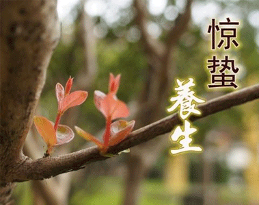 驚蟄簡(jiǎn)短祝福語(yǔ)說(shuō)說(shuō)