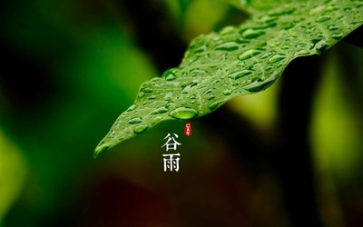 谷雨節(jié)氣微信朋友圈祝福語