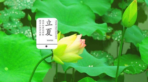 形容立夏的美好語(yǔ)句