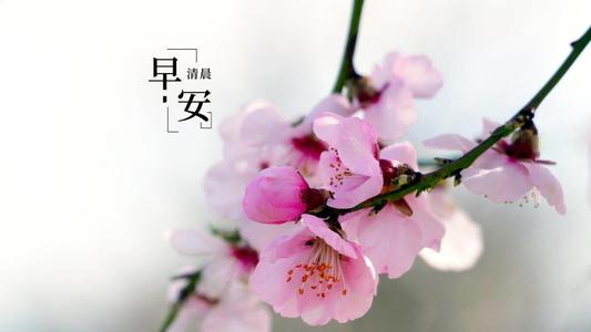 最好的早安問候語(yǔ)