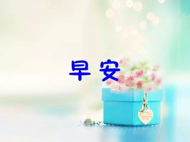 適合早上發(fā)的每日晨語(yǔ)發(fā)朋友圈早安正能量短句