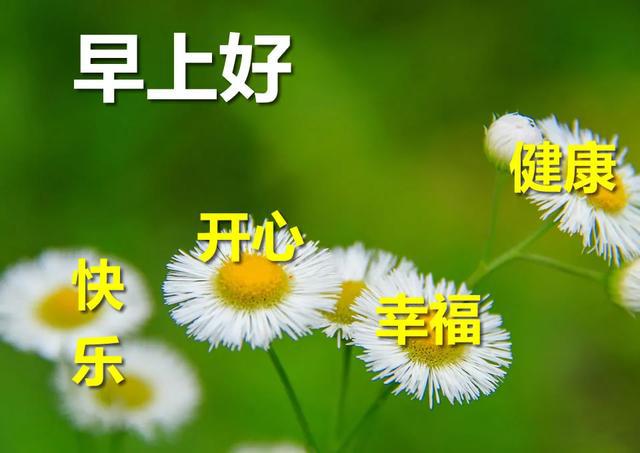 早安暖心的簡(jiǎn)短問候語(yǔ)