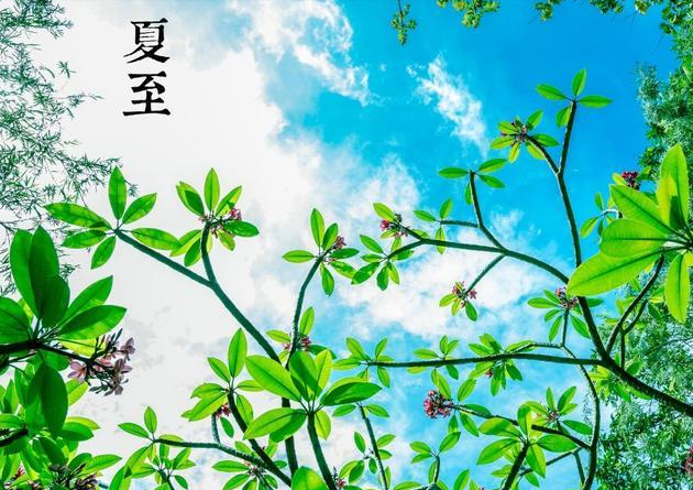 夏至唯美語(yǔ)錄