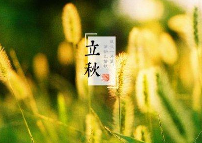 關于立秋的優(yōu)美句子 立秋的說說發(fā)朋友圈