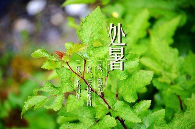 處暑祝福圖片 處暑祝福語(yǔ)