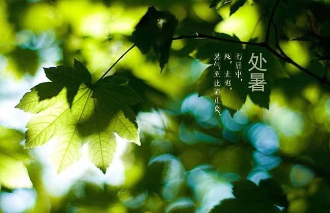 處暑節(jié)氣祝福語(yǔ) 適合處暑發(fā)的句子