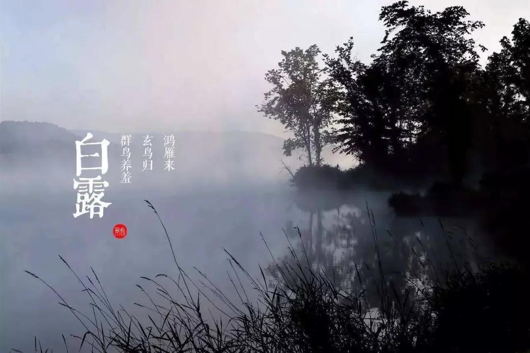 白露節(jié)氣快樂祝福語